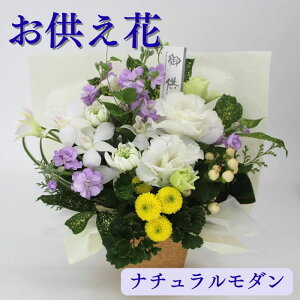 y ԁz i`_ AW p Ԉ O O      @ @v r r ybĝ r͂͂ 3 7