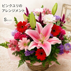 【送料無料 即日発送】大輪 ピンクユリのお祝い花S フラワーアレンジメント誕生日 発表会 記念日 結婚祝い 出産祝い 新築祝い 送別会 楽屋花 開店祝い 花 ユリ【画像配信】【メッセージカード 立札】