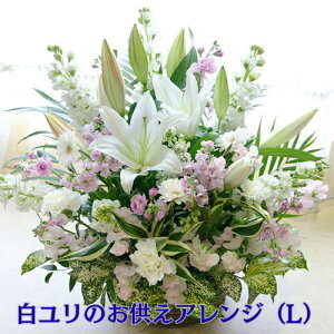 y z S (t[AWgL) ފ Q     @ @v O O Q ~ r r  AW