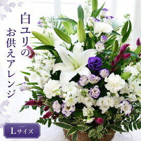 【送料無料 即日発送】大輪 白百合 お供え花(フラワーアレンジメントL) お彼岸 墓参り お供え花 お悔やみ 命日 仏事 法事 法要 ご仏前 ご霊前 墓参 お盆 喪中 喪中見舞い 白ユリ アレンジメント(クール便不可) 葬儀 通夜 お葬式 【画像配信】 【メッセージカード 立札】