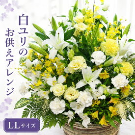 【送料無料 即日発送】 大輪 白百合 お供え花(フラワーアレンジメントLL)【お彼岸/お墓参り/お悔やみ/命日 月命日/仏事 法要 一周忌/ご仏前 ご霊前/枕花/ペットのお供え/お盆/喪中 喪中見舞い】(クール便不可) 【画像配信】【メッセージカード 立札】