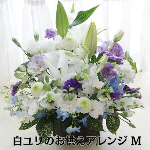 y z S (t[AWgM) ފ Q     @ @v ybĝ O O Q r r  A