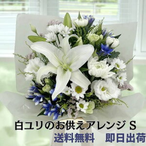 y z  (t[AWgS) ފ Q     @ @v ybĝ O O Q r r   