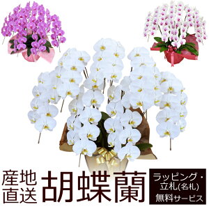 yzYnIӒ̔Ay7{63ֈȏzJXjEJƏjE@vE@lȂǂɂ߁IΕ Nɂy}ւł͂zy摜zMz