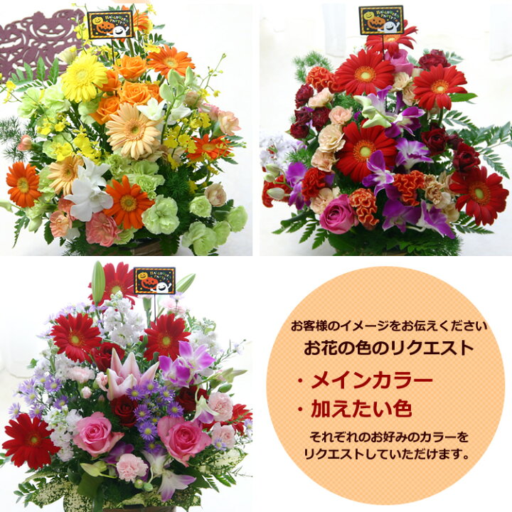 楽天市場 ハロウィン ギフト そのまま飾れる季節の花のアレンジ アレンジメント 送料無料 ハロウィン限定ピック付 ハロウィンの飾り付け ハロウィン パーティーにお花の贈り物 花の専門店 行きつけのお花屋さん