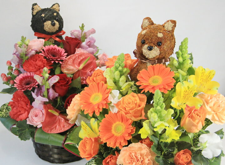 楽天市場】犬など動物のトピアリー(人形)と季節の花をアレンジした 