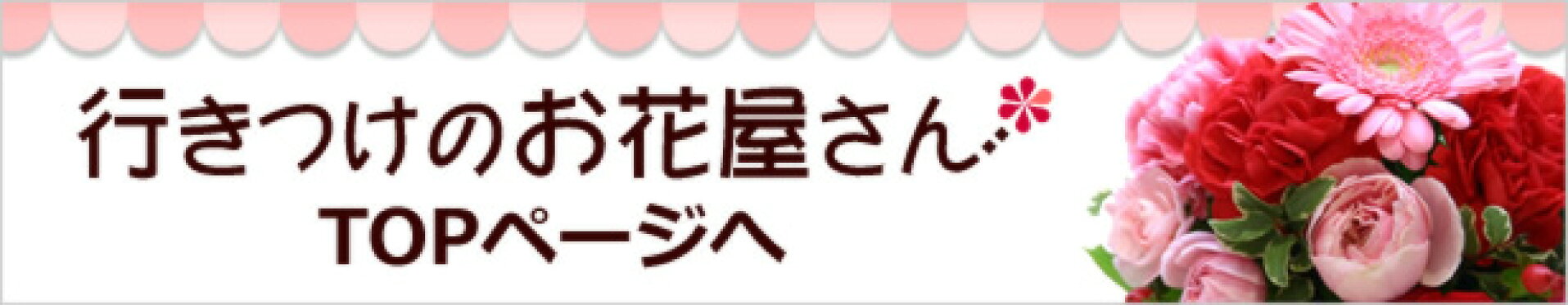 トップページへ