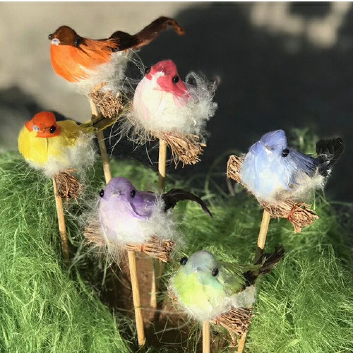 楽天市場 フラワーギフト用オプション 小鳥のピック花束やアレンジメントの添え花にバードピックをプラスして 豪華にボリュームアップ 誕生日 発表会 記念日 お祝い 出産祝い 新築祝い 送別会 お悔やみ お供え お見舞い 花の専門店 行きつけのお花屋さん