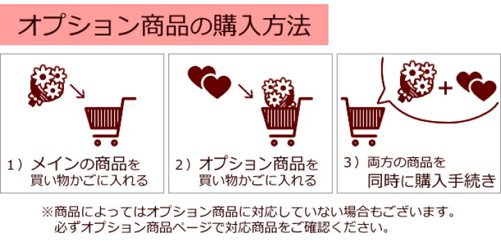 楽天市場 生花ギフト用オプション かすみ草 霞草 かすみそう カスミソウ 花束やアレンジメントの添え花に白いカスミ草をプラスして 豪華にボリュームアップ 誕生日 発表会 記念日 お祝い 出産祝い 新築祝い 送別会 お悔やみ お供え お見舞い 花の専門店