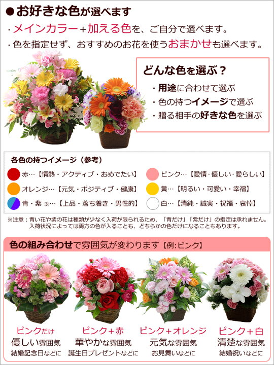 楽天市場】【即日発送対応(旧あす楽)/送料無料】母の日や誕生日などの 