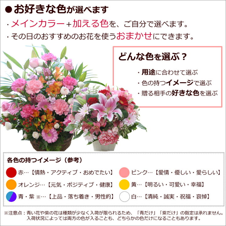 楽天市場】【送料無料/即日発送対応】開店祝い 花 誕生日のお祝いに 