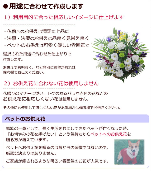 楽天市場 送料無料 あす楽対応 お供えに お悔やみに 季節の生花の お供え花 アレンジメント お供え 花 一周忌 ご霊前 ご仏前 葬儀 通夜 お葬式 枕花 供花 仏花 白ユリ 命日 法事 法要 喪中 喪中見舞い ペットのお供え お彼岸 お盆 新盆 の花に 花の専門店