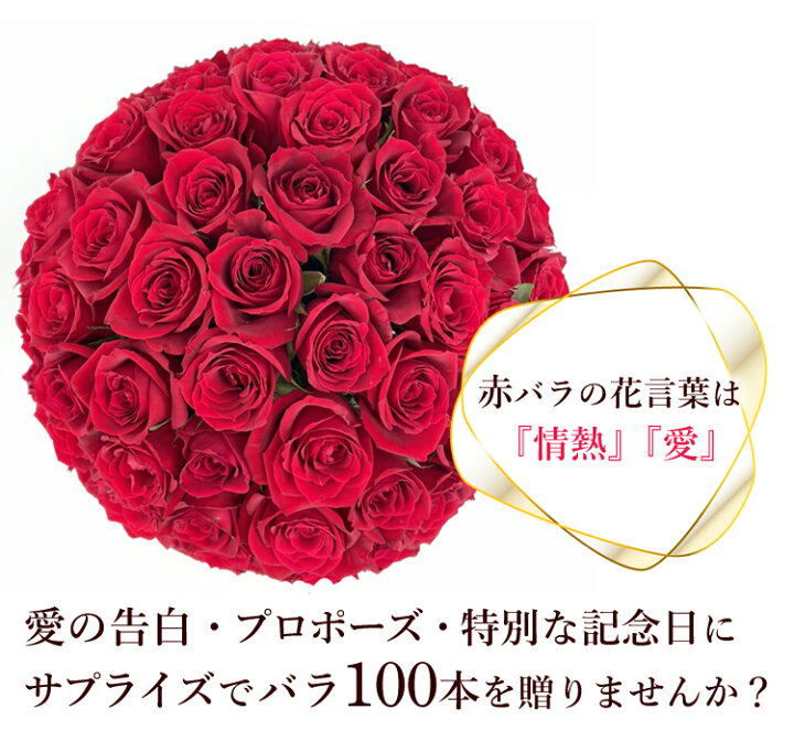 楽天市場】赤バラ100本のラウンドアレンジ【送料無料】生花 バラ 赤 