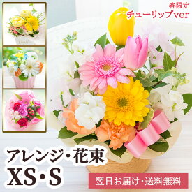 花 誕生日 お祝い 店長のおまかせフラワーギフト 花束 アレンジメント ブーケ 赤 ピンク 黄色 青紫 白 お花 ギフト 退職祝い 結婚祝い 結婚記念日 女性 春 送別 卒業祝い 卒園祝い 卒園 卒業式 卒業 送別会 ペットお供え プチギフト 【メッセージカード】最強配送 即日出荷