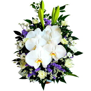 y䋟@Ӓ ×zԋ@ ԁ@ ԁ@ ybg@ @  AWg@V@ʎ@  ybg@  AW@@ 