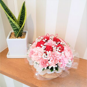 yt[P[Lzԋ@a ԁ@̓@v[g@t[AWg@ԁ@JƊJXj@ yԁ@ړ]j@j@LO@a bZ[WJ[ht M