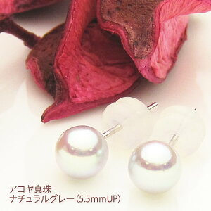 AR^ i` O[ sAX or CO 5.5mmUP ꗱ p[  ^ akoya w Ǝ tH[} v[g a NX}X zCgf[ ̓ hV̓