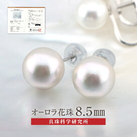 楽天市場】オーロラ花珠 8.5mm ピアス イヤリング アコヤ真珠 花珠真珠 