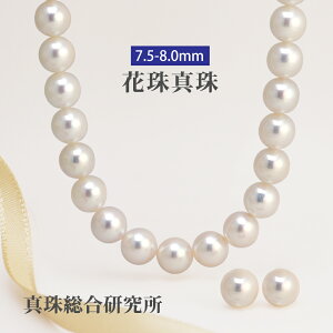 Ԏ^ AR^ 2_Zbg 7.5-8.0mm y^쑍z p[ lbNX sAX or CO Pt900 K14WG  zCg sN tH[}    v[g LO 