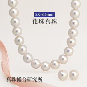 Ԏ^ AR^ 2_Zbg 8.0-8.5mm y^쑍z p[ lbNX sAX or CO Pt900 K14WG  zCg sN tH[}    v[g LO 