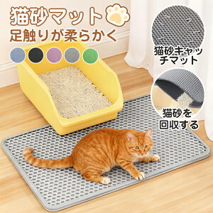 y聙P5{+10%OFFN[|z L}bg }bg L }bg w\ LLb`[ LюUh~ L}bg ~߃}bg  LgCpi ybg  | 