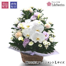 お供え 花 供花 蘭 アレンジメント お悔み お供え物 枕花 初七日 命日 四十九日 一周忌 三回忌 故人 御供 供養 法事 法要 ペット 花 仏花 生花 エーデルワイス お悔やみの花 蘭のお供え花 アレンジメント L