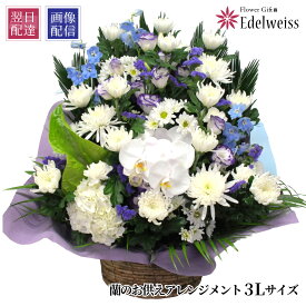 【最短 翌日お届け 12時まで】 お供え 花 供花 蘭 アレンジメント お悔み 上品 気品のある 華やか お供え物 枕花 初七日 命日 四十九日 一周忌 三回忌 故人 御供 供養 法事 法要 ペット 花 仏花 生花 エーデルワイス お悔やみの花 蘭のお供え花 アレンジメント 3Lサイズ