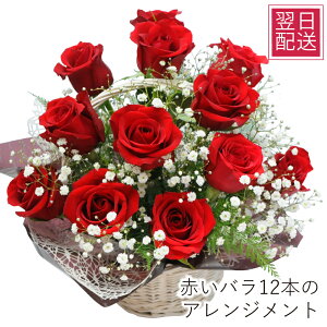 v|[Y  a 12 LO bh o   JS a v[g j LO   G[fCX   }  z ͂ z zB Ԃ