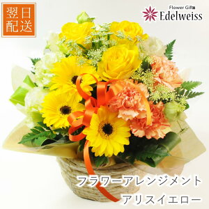 yy12܂Ŏtzމ@  މ@j  Cj a v[g r^~J[ t[AWg  G[fCX AXCG[