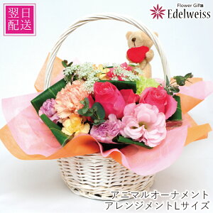 a  z z Mtg 蕨  t[Mtg Aj}I[igAWg LTCY