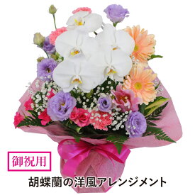 花 プレゼント 誕生日 花 転勤花 退職花 昇進花 昇格花 栄転花 就任祝い花 お祝い フラワー ギフト 花宅配 プレゼント 開店祝い 開業祝い 移転祝い 送別会 退職祝い 明日 急ぎ 明日着 配送 配達 届け 宅配 送料無料 エーデルワイス 胡蝶蘭の洋風アレンジメント