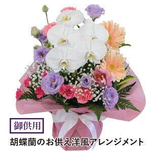  ԑ NX`  JgbN m ؂₩ Ӓ  AWg  Ԗ l\  O 䋟 { @ @v    z zB ͂ z G[