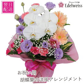 花 プレゼント 誕生日 花 転勤花 退職花 昇進花 昇格花 栄転花 就任祝い花 お祝い フラワー ギフト 花宅配 プレゼント 開店祝い 開業祝い 移転祝い 送別会 退職祝い 明日 急ぎ 明日着 配送 配達 届け 宅配 送料無料 エーデルワイス 胡蝶蘭の洋風アレンジメント