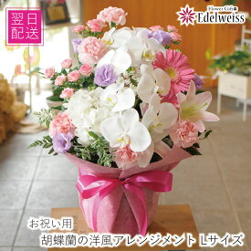 誕生日 花 転勤花 退職花 昇進花 昇格花 栄転花 就任祝い花 フラワー ギフト 花宅配 プレゼント 開店祝い 開業祝い 移転祝い 送別会 退職祝い 送料無料 明日 急ぎ 明日着 配送 配達 届け 宅配 エーデルワイス お祝い 胡蝶蘭の洋風アレンジメント Lサイズ