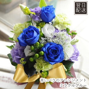     w j  o Ȃ̓ KN a t[AWg  v|[Y  j v[g ~Nu[ Əj ij G[fC