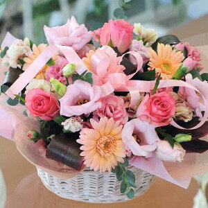  a LO t[ AWg z z j v[g ސE   }  z zB ͂ z zB I[sN LTCY