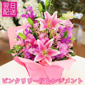 a ԑ j  sN[ AWg ̃AWg Ԃ̑蕨 t[AWg S   AWg  v[g  Mtg ԃv[