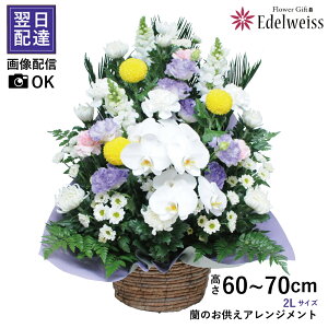 花 贈る 供花 蘭 お供え 花 アレンジメント お悔み お供え物 喪中見舞い 枕花 初七日 命日 四十九日 一周忌 三回忌 御供 供養 法事 法要 ペット 仏花 生花 エーデルワイス お悔やみの花 蘭のお