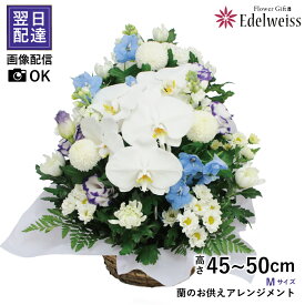 【あす楽対応商品 】お供え 花 供花 生花 フラワーアレンジメント お悔やみの花 胡蝶蘭 豪華 上品 命日 四十九日 一周忌 三回忌 周期法要 法事 法要 御霊前 喪中見舞い 供養 蘭のお供えアレンジメント Mサイズ