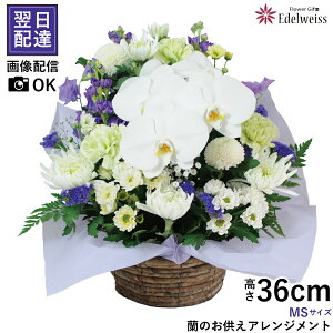     y V  AWg @v   l\ @   ފ ̂ AWg MS