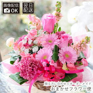 LO LO   v|[Y a ԑ ԁyy12܂Ŏtz ԑ v[g t[Mtg j 蕨  җj ސEj ] ٓ } ʉ 