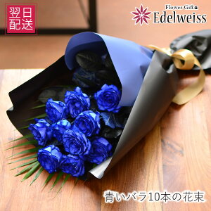     w j  u[[Y o KN a LO Ȃ̓ v|[Y  j v[g͓w   o10{   }  z 