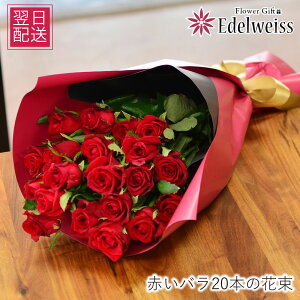     w j  ԑ \ o LO a v|[Y  LO 20 j Ȃ̓ v[g  Ԃo20{ Əj G[fCX   }