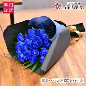     w AE j  Ȃ̓ ԑ \ u[[Y o a 20  v[g t[Mtg LO v|[Y  j LO 20  