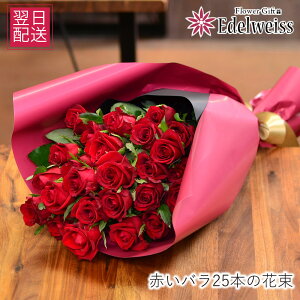     w j  Ȃ̓ ԑ o LO 25 a v|[Y   Ȃ̓ LO j KN v[g Ԃo25{ \ Əj ʏj  