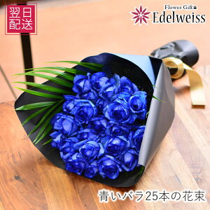     w j  u[[Y o KN a 25  v[g Ȃ̓  LO v|[Y  j LO 20 o25{ G[fC