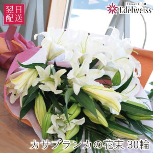 a v[g ԑ  Mtg 蕨  ԑ  ԑ Mtg JTuJ a t[Mtg  LO v[g   S j LO j \ J