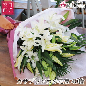 ԑ a v[g  Mtg 蕨   S j LO j \ JTuJ̉ԑ ֌n 40ֈȏ G[fCX