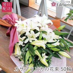 ԑ a v[g  Mtg LO  S j LO ސEj ʉ \ JTuJ̉ԑ ֌n 50ֈȏ G[fCX