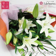 敬老の日 花束 カサブランカ ギフト 誕生日 プレゼント 贈り物 生花 百合 ユリ 大輪 人気 フラワー 結婚…